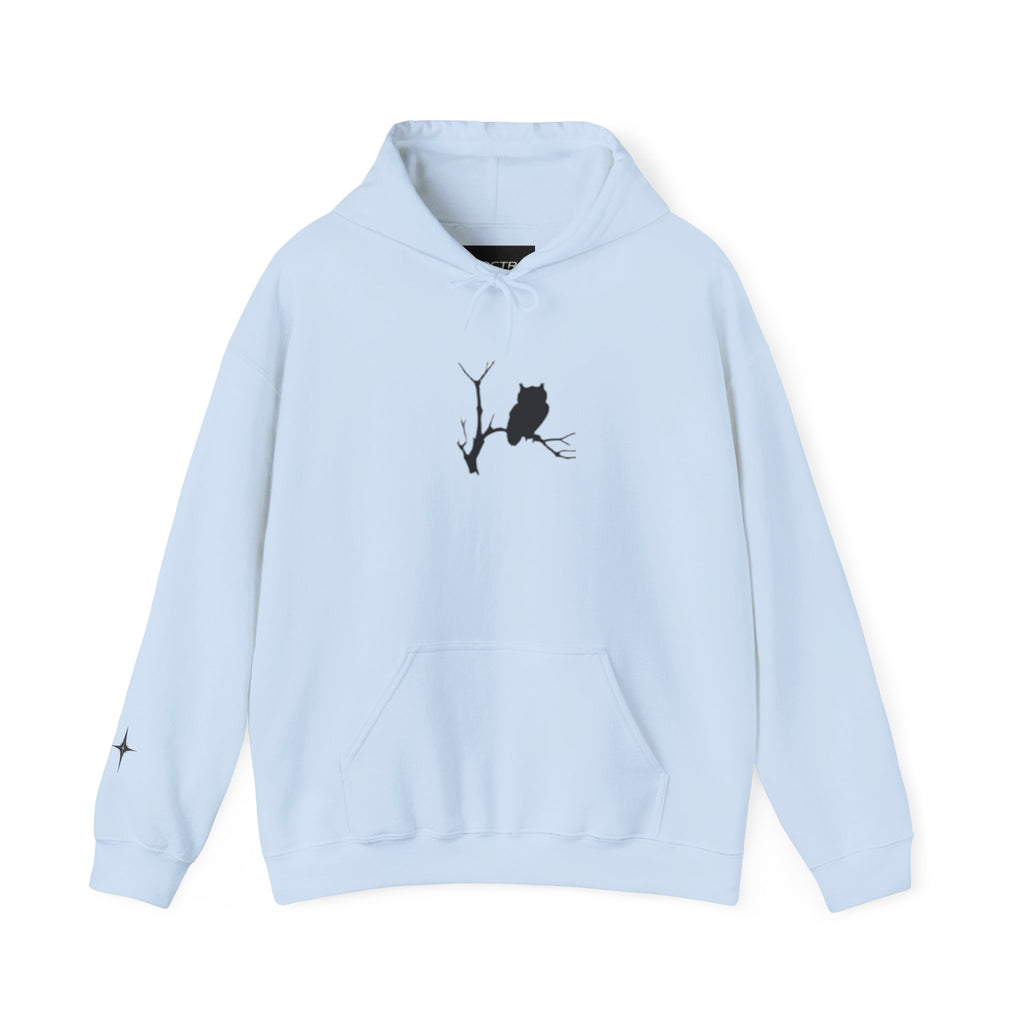 Unisex Heavy Blend™ Hooded Sweatshirt Owl