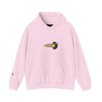 Unisex Heavy Blend™ Hooded Sweatshirt Fun
