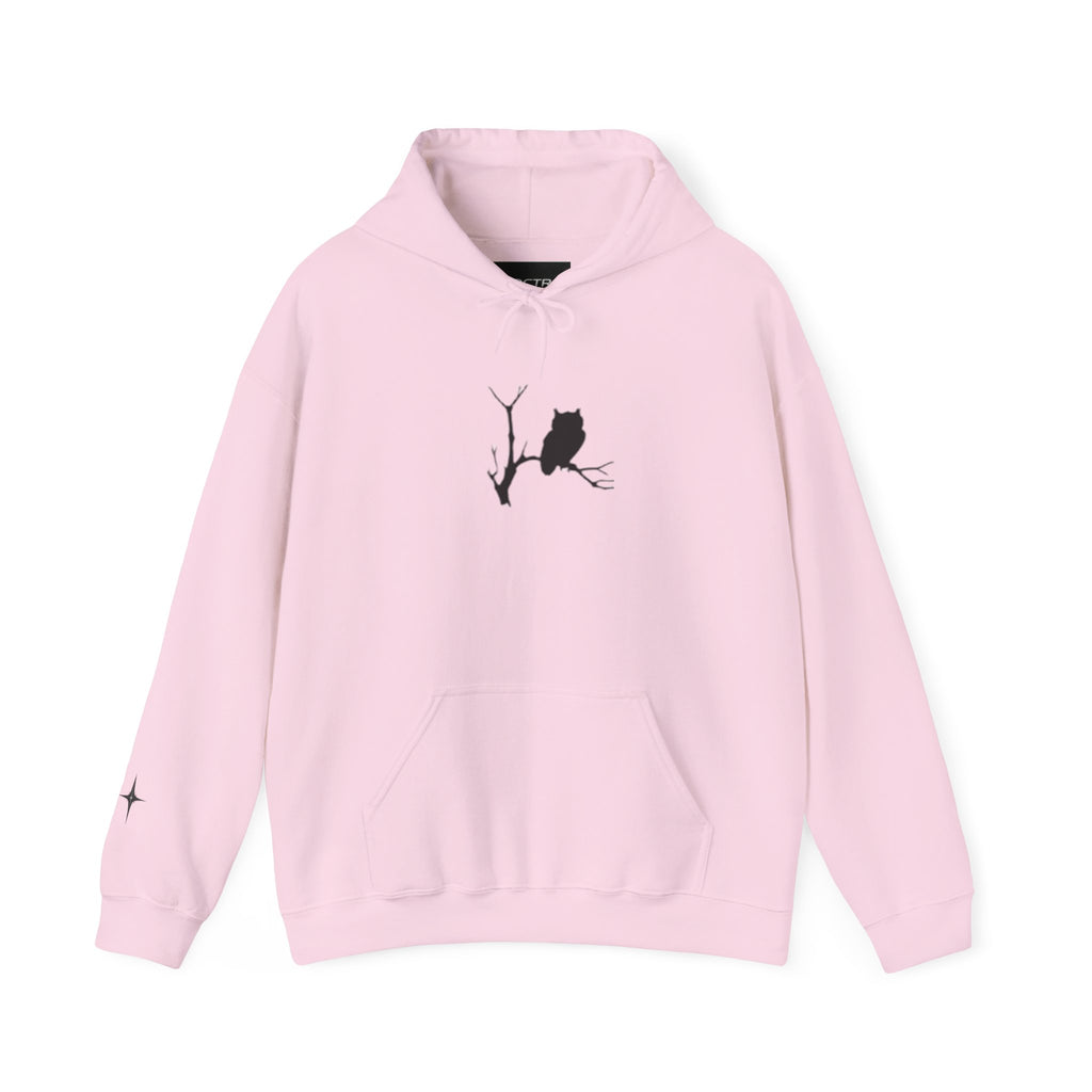 Unisex Heavy Blend™ Hooded Sweatshirt Owl